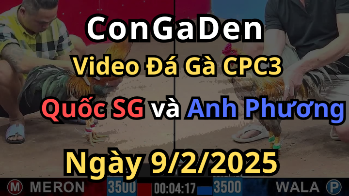 CPC3 9/2/2025 Anh Quốc SG Lụm 1000$ Sau Khi Thua 3 Liêp Tiếp
