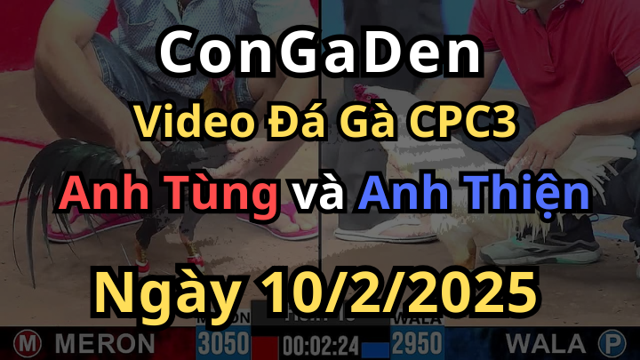 CPC3 10/2/2025 Xanh Que Đá Hiểm Úa Gục Tại Chỗ