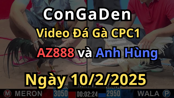 CPC1 10/2/2025 AZ888 Đá Như Cái Máy Khâu