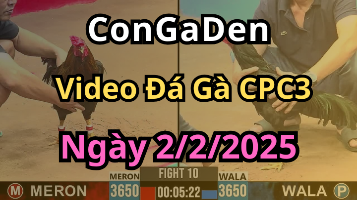 Full 22 Trận - Video đá gà trực tiếp CPC3 Campuchia ngày 2/2/2025