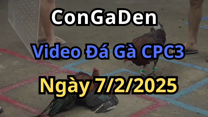 Đã mắt với các trận CPC3 ngày 7/2/2025 Toàn trận hay