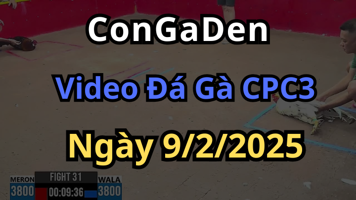 Xem lại CPC3 Thomo Ngày 9/2/2025