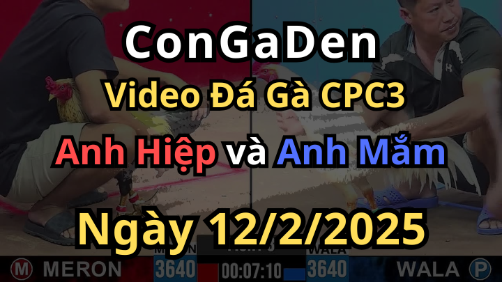C3 12/2/2025 Anh Mắm Đè Nguyên Trận Để Lọt Đúng 1 Cây