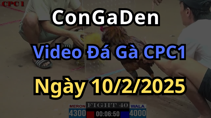 Video Phát Lại Đá Gà Thomo CPC1 Hôm nay 10/2/2025