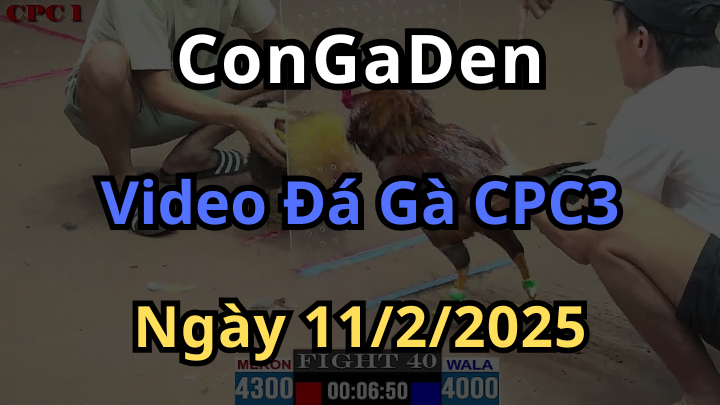 Tổng hợp trận hay tại C3 11/2/2025