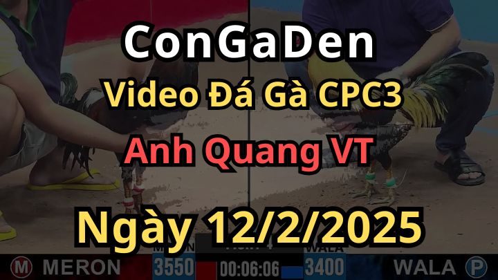 3 Trận Lụm Gạo Liên Tiếp Của anh Quang VT ở C3 12/2/2025